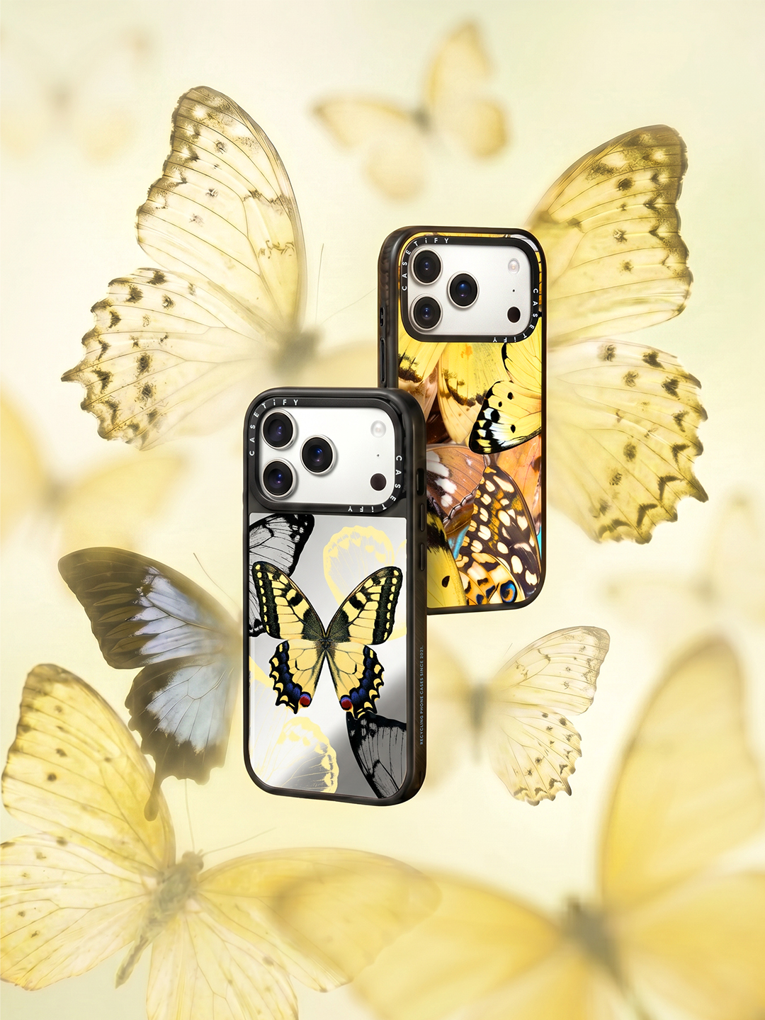 Butterfly Spectrum