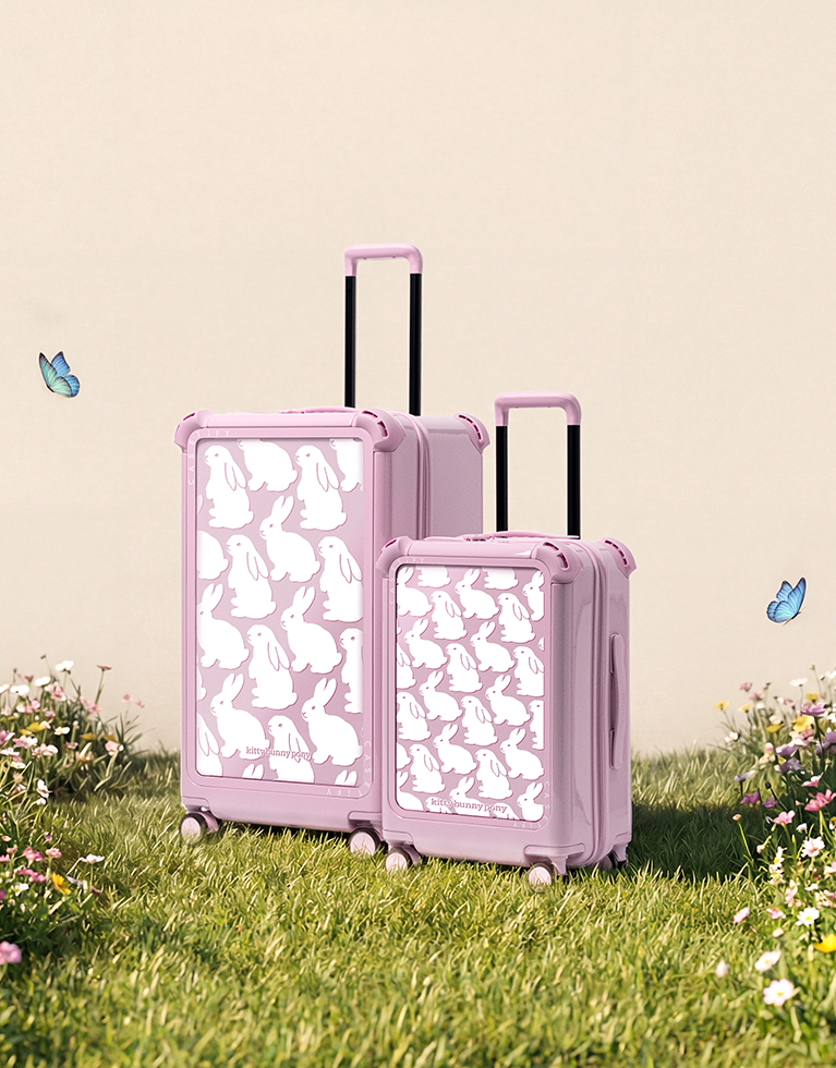 kittybunnypony x CASETiFY Travel