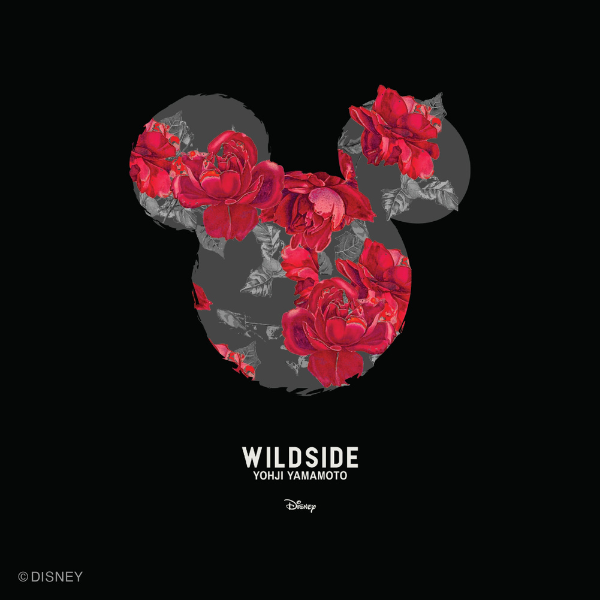 Wildside x Disney